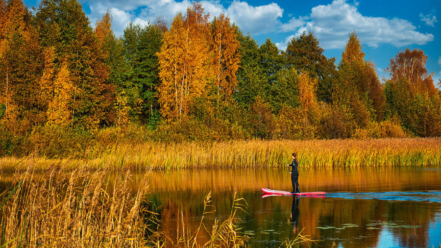 Comment entretenir votre planche à la fin de la saison et quoi faire en attendant le printemps