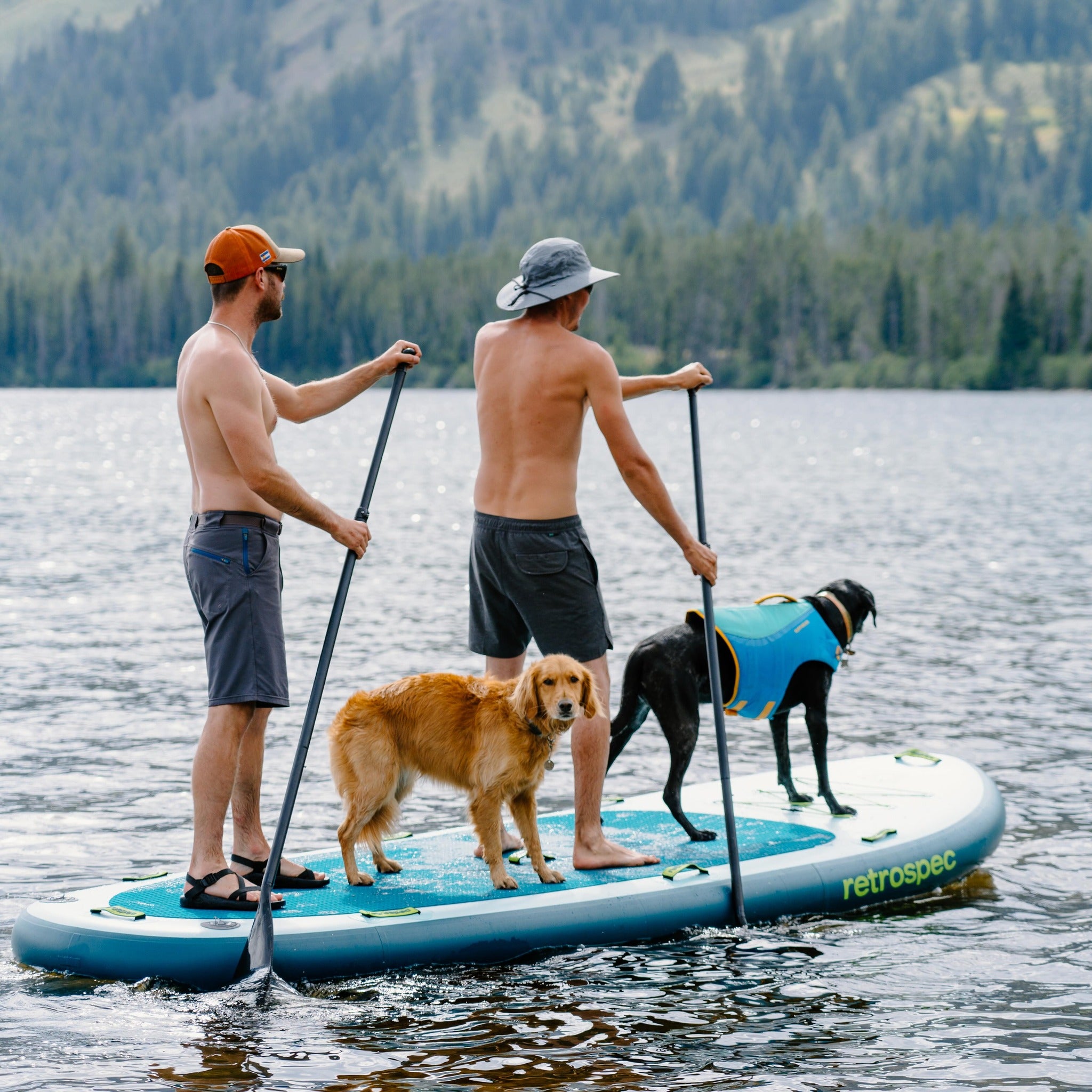 Tapis De Surf Pour Chien Milageto – EVA Antidérapant, 65x50cm, Pour Kayak, Paddle, Sports Nautiques