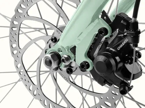 RETROSPEC - Chatham Rev+ Electric Bike - Step Through