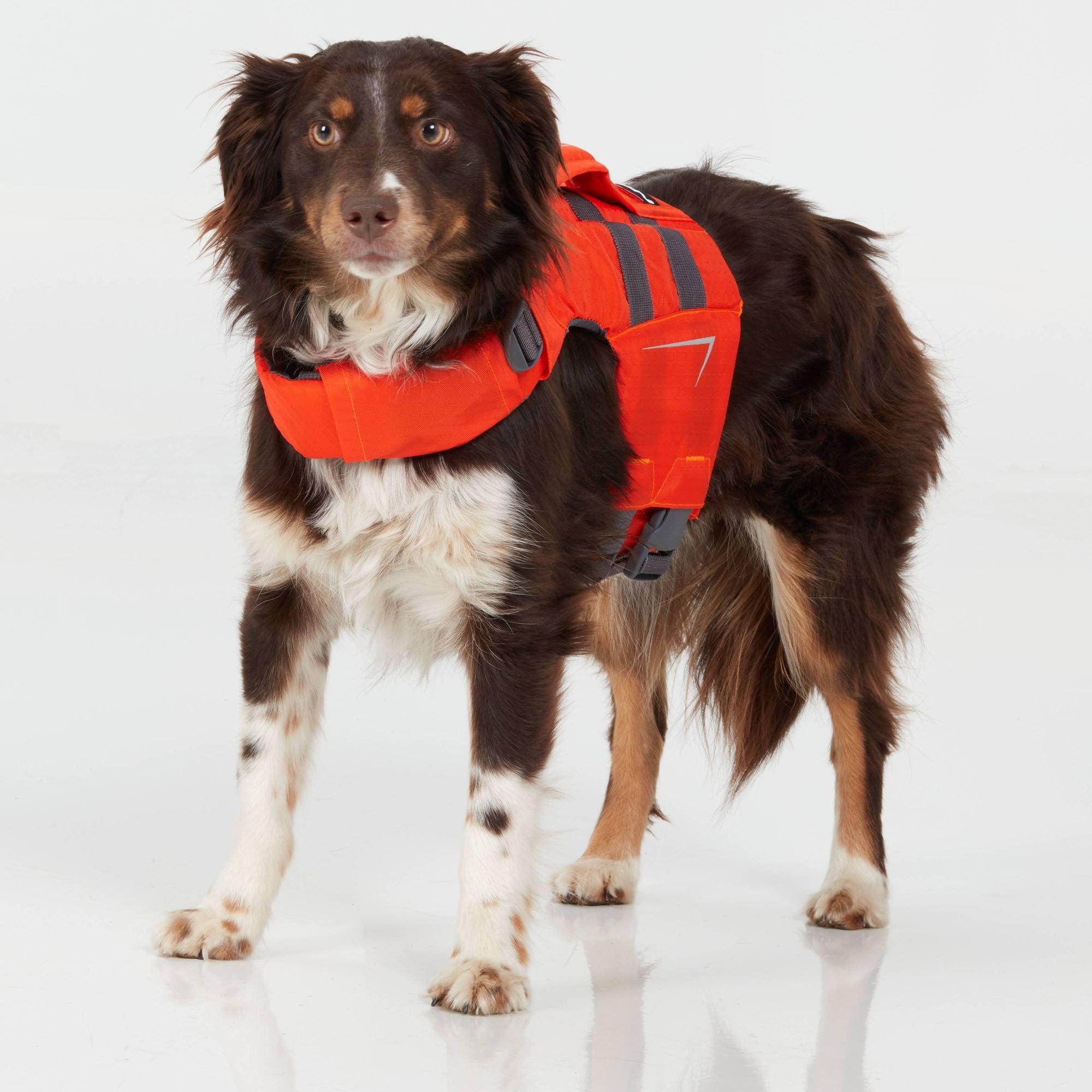 NRS CFD Veste de flotaison pour chien - {{ SUP Montreal }}