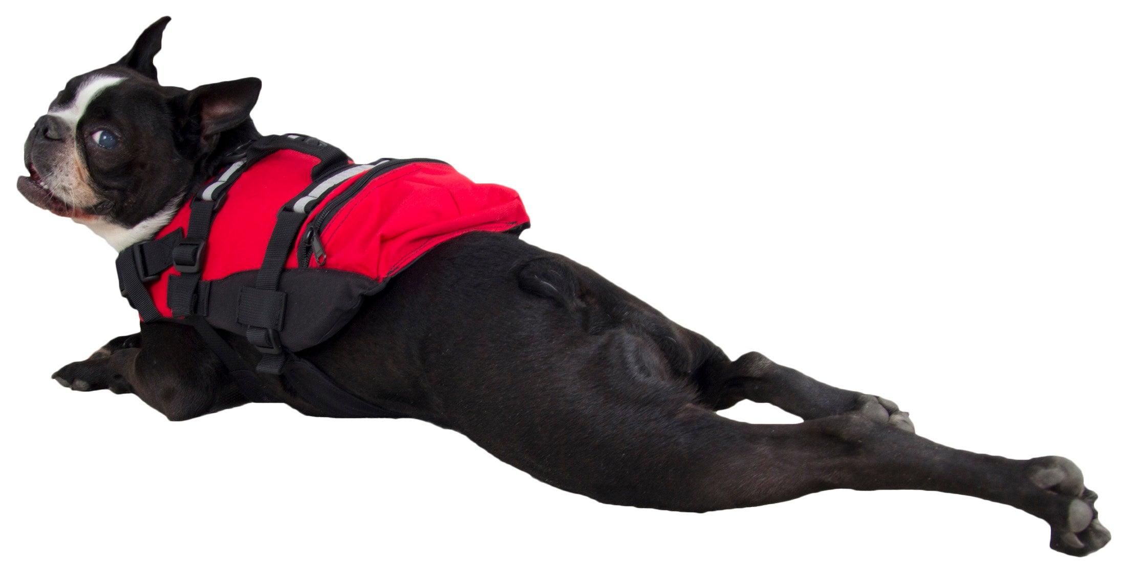 Nrs store dog pfd